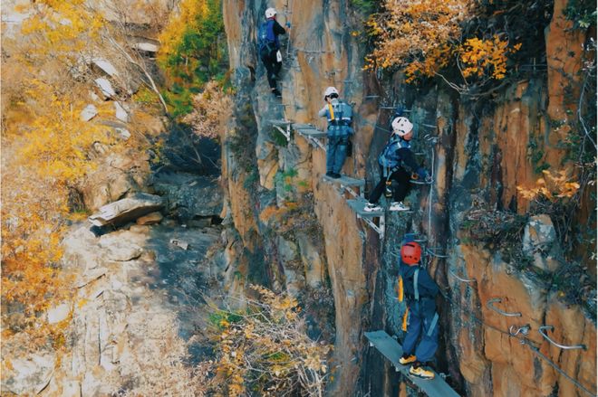 新年日出、烟花秀、篝火晚会、非遗市集……开元棋牌2026连云港跨年元旦活动汇总！(图10)