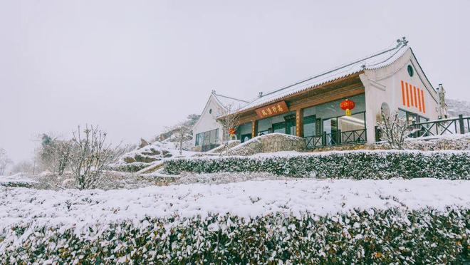 新年日出、烟花秀、篝火晚会、非遗市集……开元棋牌2026连云港跨年元旦活动汇总！(图16)