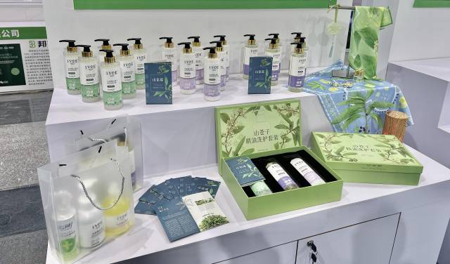 山野“小辛香”如何迈向“大市场”开元棋牌一颗山苍子的新生：粤北(图1)